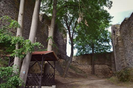Zřícenina hradu Dobronice