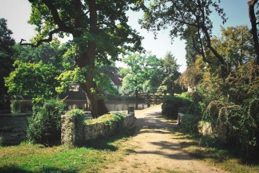 Anglický park u zámku Vrchotovy Janovice
