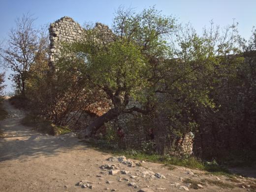 Zřícenina hradu Děvičky