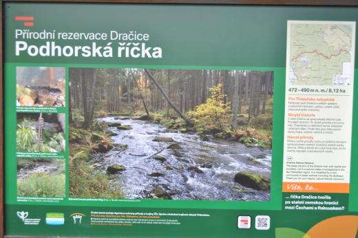 Přírodní rezervace Dračice v České Kanadě