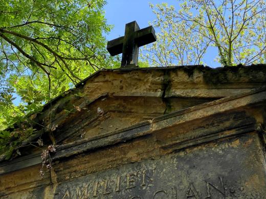 Olšanské hřbitovy v Praze