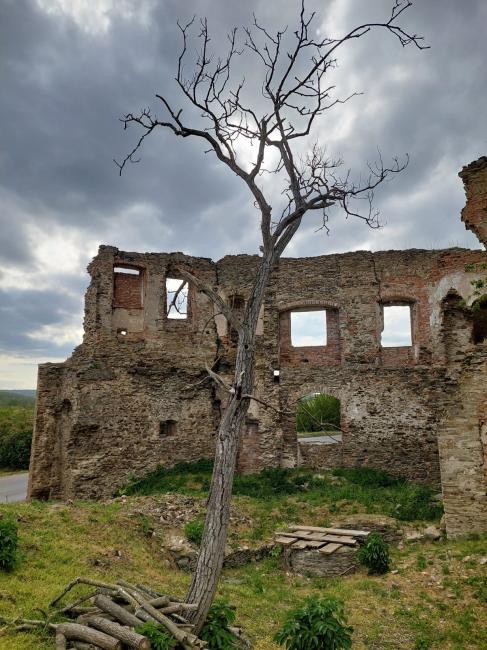 Zřícenina hradu Žerotice