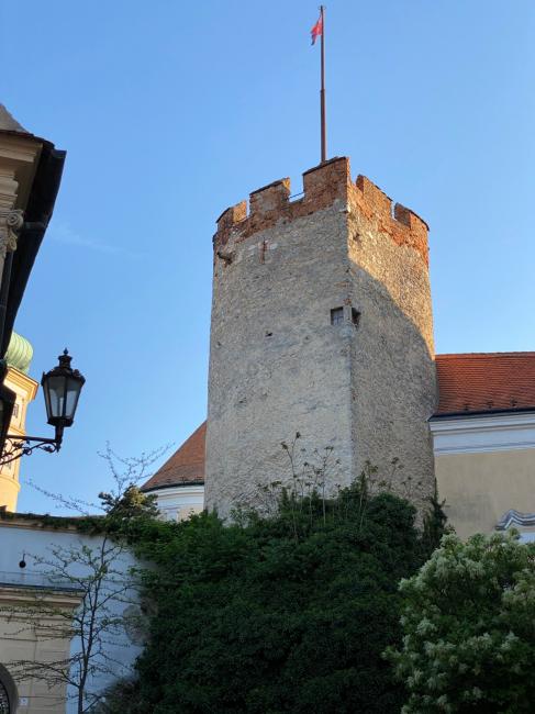 Břitová věž mikulovského hradu