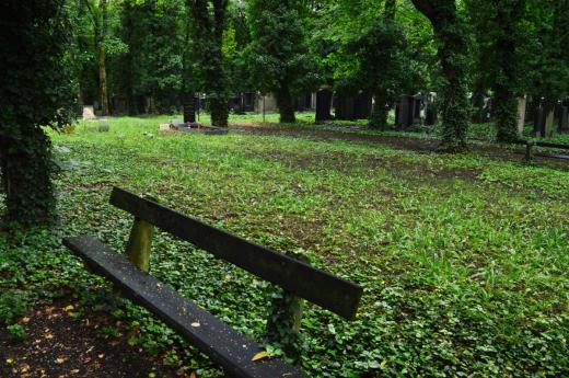 Nový židovský hřbitov na Olšanech