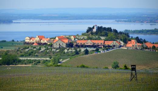 Pohled na rozhlednu Dalibor a vinařství U Kapličky