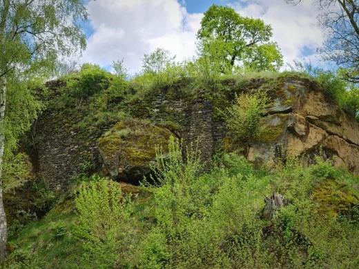Zřícenina skalního hradu Hřídelík