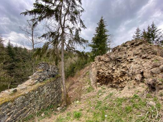 Zřícenina hradu Kožlí