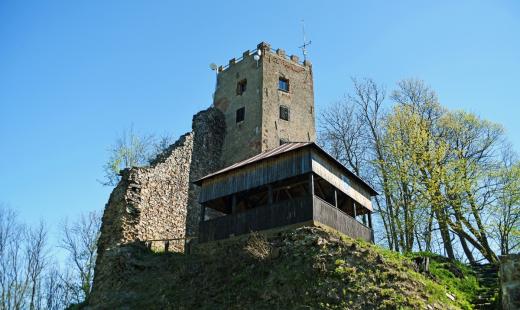 Zřícenina hradu Rýzmberk