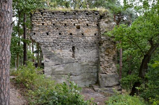 Zřícenina hradu Milčany u Milčanského rybníka